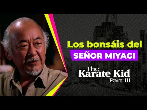 Los bonsáis del señor Miyagi | The Karate Kid III | Hollywood Clips en Español
