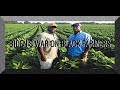 BIDENS WAR ON BLACK AMERICAN FARMERS