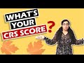 CRS score calculator | Express Entry points calculation (Demo)