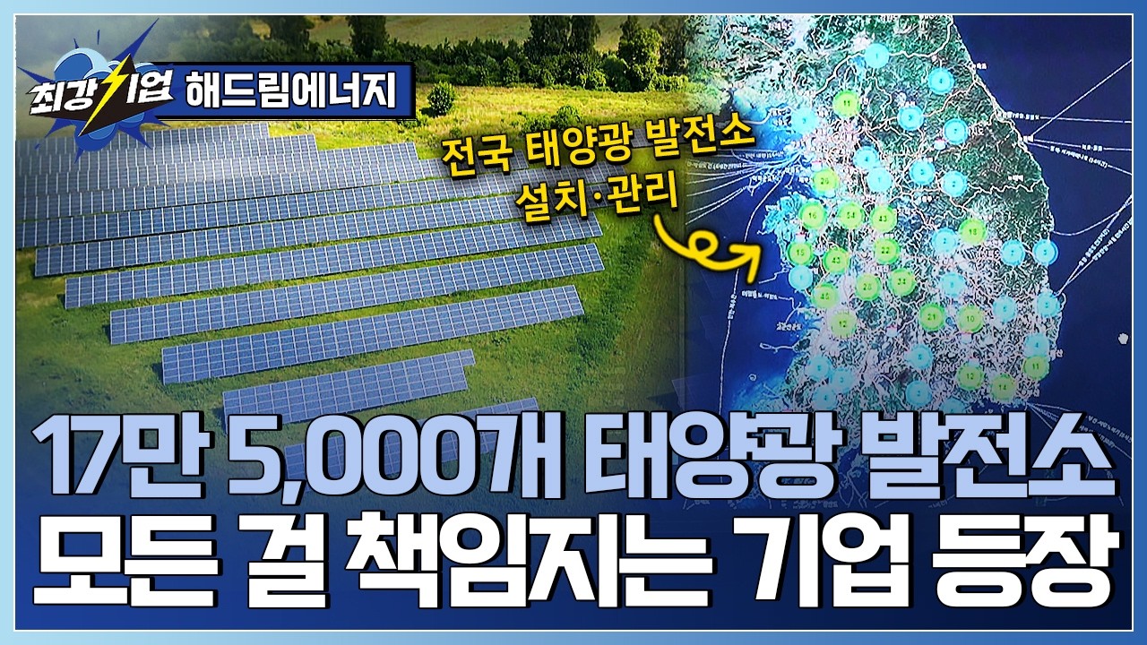 [최강기업] 태양광 발전소의 시작과 끝! 신재생에너지 전문기업 / YTN 사이언스