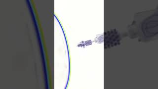 Microscopic View Of Bacteriophage