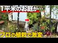 【諦めないで!】限られたスペースを超オシャレにする植栽!ポイントやコツも余すところなく大公開!【How to Plant a 1㎡ Tiny Garden】