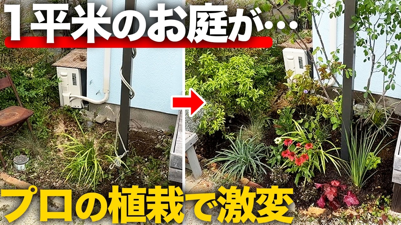 【諦めないで!】限られたスペースを超オシャレにする植栽!ポイントやコツも余すところなく大公開!【How to Plant a 1㎡ Tiny Garden】
