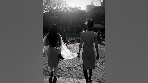 Chapri Nibba-Nibbi Status | WhatsApp Status| Road to 10k views(overall)😃😃