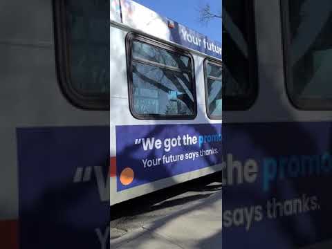 CT 2007 New Flyer D40LF # 8031 2010 Novabus # 8131