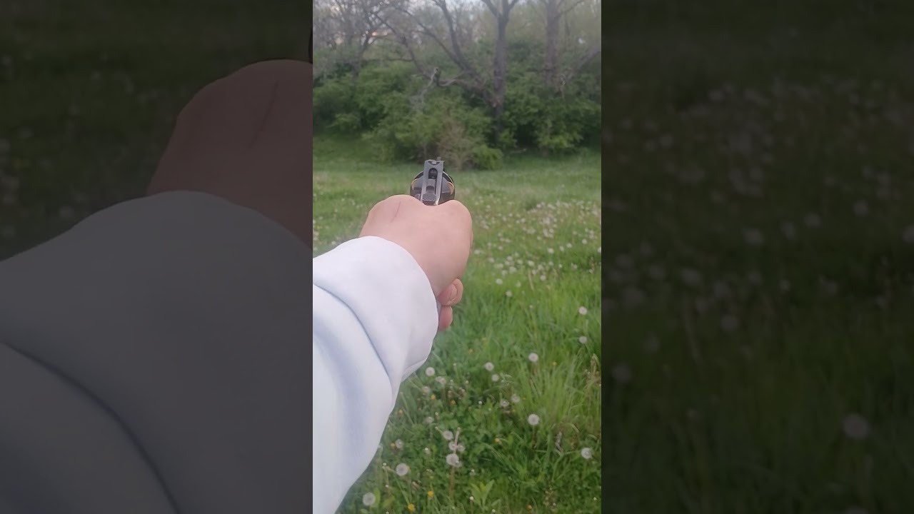 Heritage Mfg 38 Special Roscoe