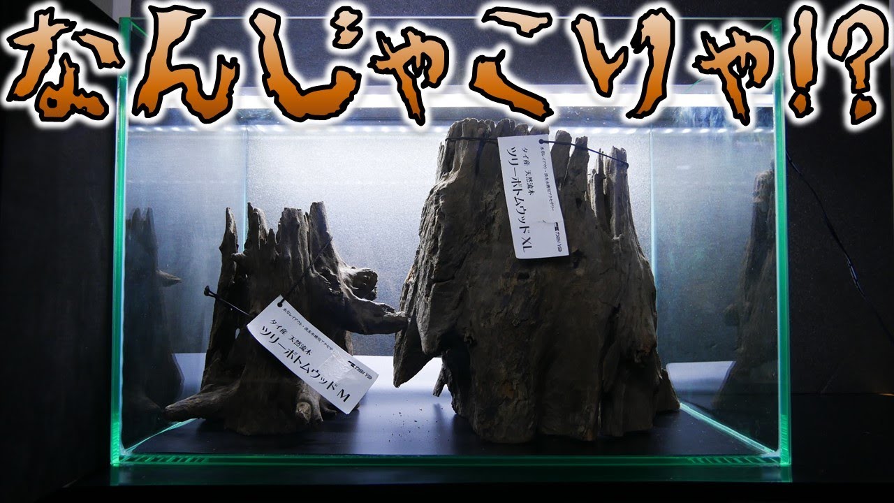 流木】下が平らで安定感がある切り株みたいな形。中に空洞があるから