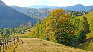 Video thumbnail of "Vine iarasi toamna in orasul meu - Cantec de toamna pentru copii"