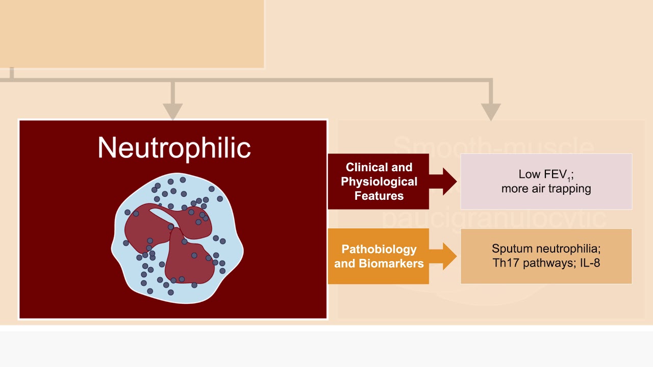 Targeted Treatment in Severe Asthma: Moving Toward Precision Medicine