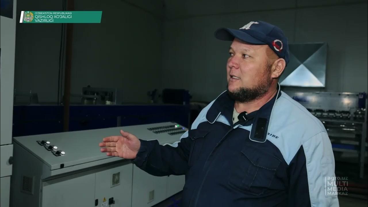 Холодильные камеры – современный метод хранения фруктов и овощей - YouTube