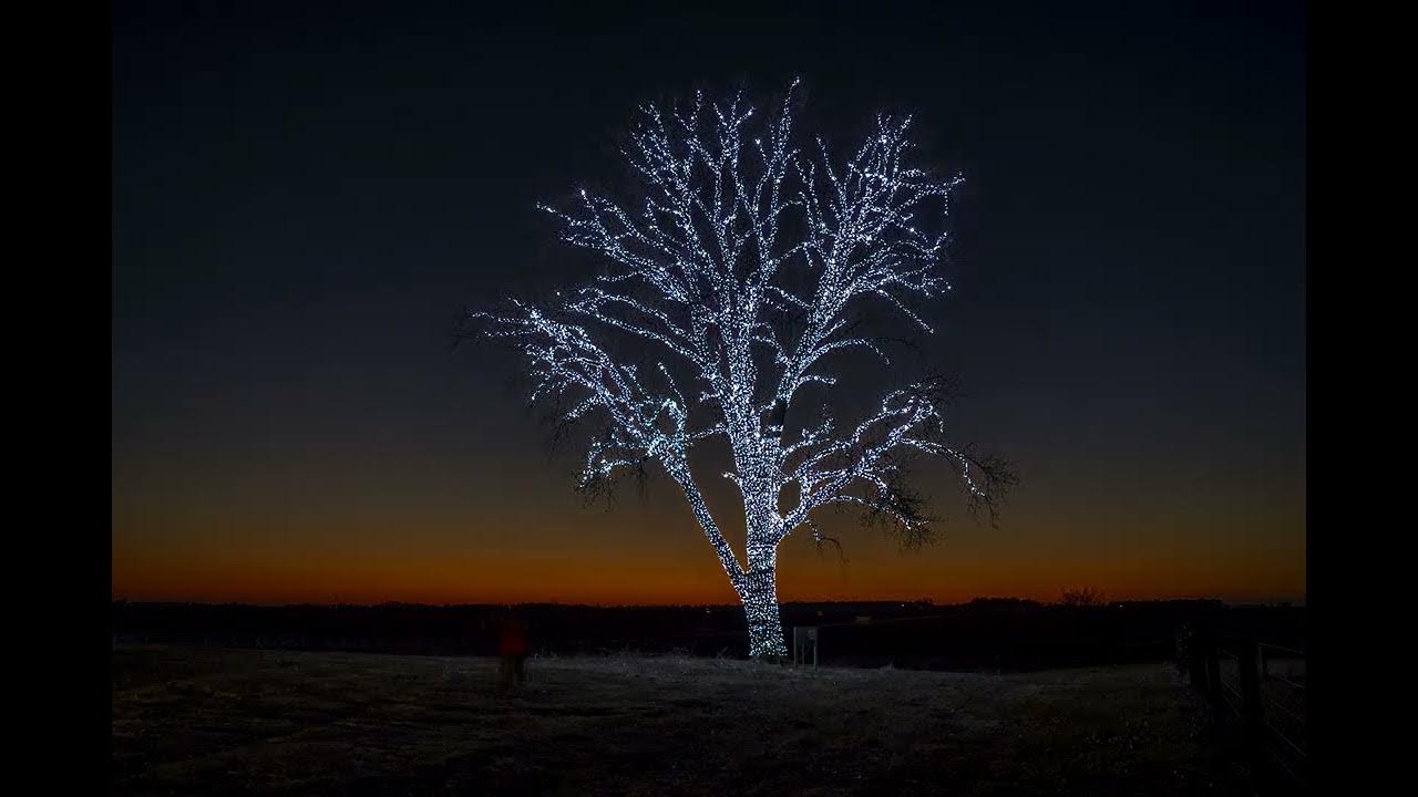 POET Tree in Hanlontown, Iowa YouTube