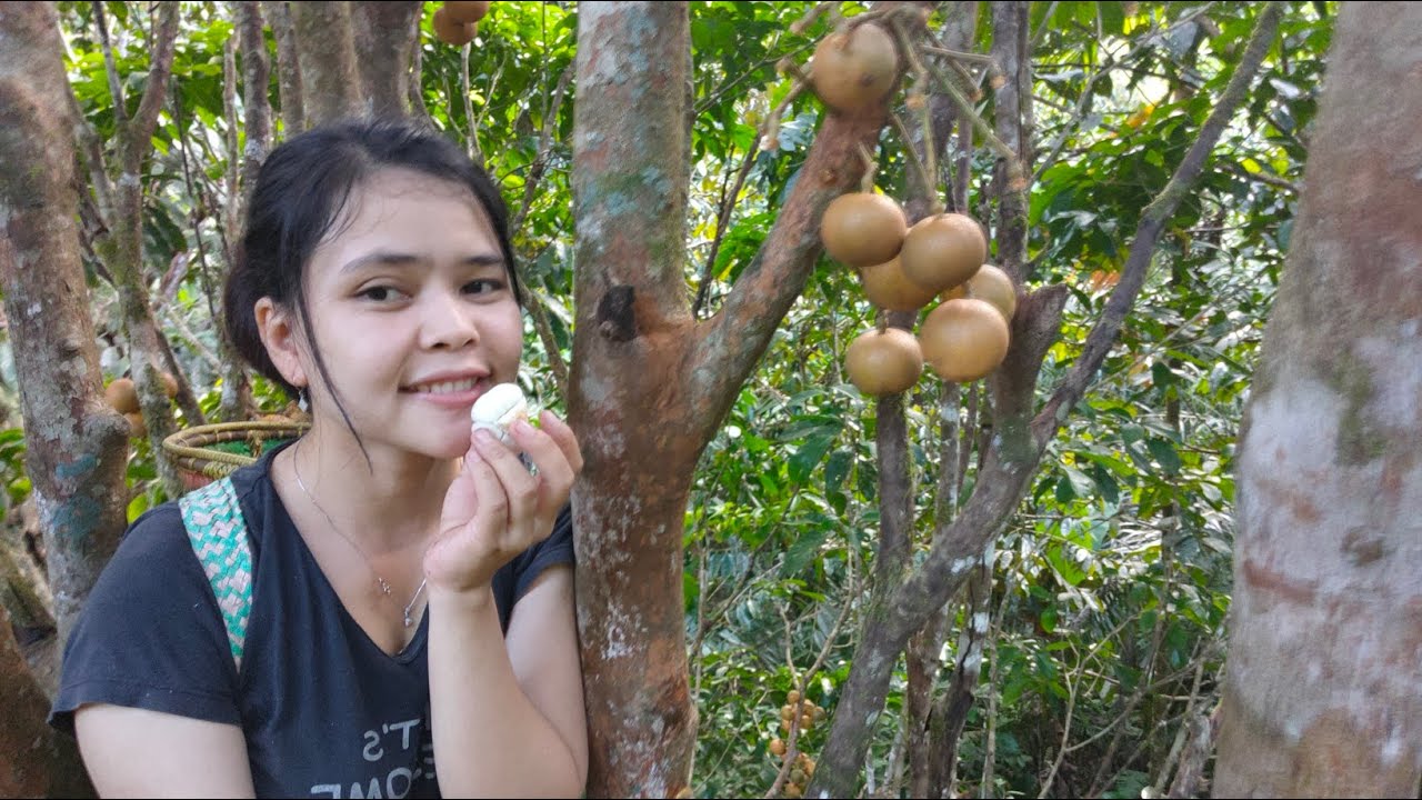 Panen Buah Hasil Manjat Sendiri🍃