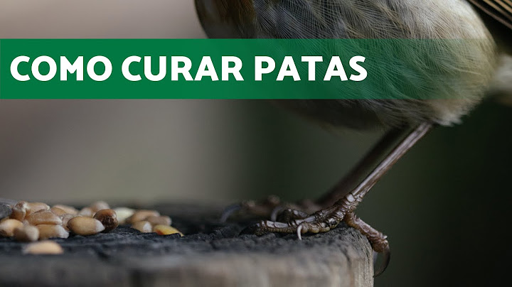 Problemas en LAS PATAS de tus CANARIOS y JILGUEROS | CÓMO CURAR LAS PATAS DE AVES