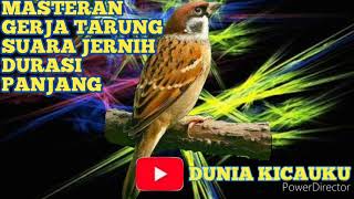 Suara gereja tarung ngerol #Audio jernih