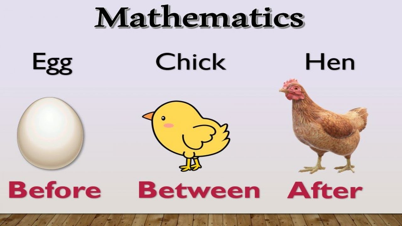 before after and between numbers math for grade 1 and grade 2