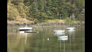 ABCSJI Tutorials | Effect of a negative tide on an Anchorage