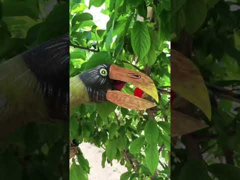 ابداع  رايكم فيه كل المعلومات في صندوق الوصف دائما