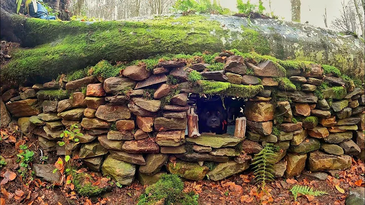 7 Days Solo Survival Camping, Building Warm Bushcraft Shelter and Fireplace - STONE HOUSE - Cooking