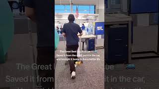 The Great Best Buy Rescue