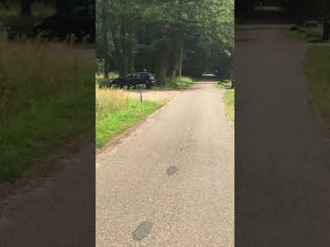 Canon van Hof van Twente - Stichting Twickel