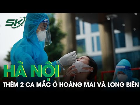 Video: Phá Thai Tự Phát Và Chấm Dứt Thai Kỳ ở Mèo