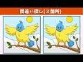【間違い探し】難問脳トレ！アハ体験や老化防止に役立つYouTube動画！【クイズ】