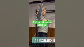 Which muscles does a pull-up work? #shorts