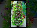 how to grow Portulaca flower in pipe 🌷🪷 #handmadeplanter #garden #shorts