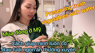 BẢO QUẢN RAU TƯƠI LÂU - PRESERVING FRESH VEGETABLES WITH WATER - MÙA ĐÔNG LUÔN CÓ RAU TƯƠI ĂN #63