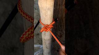DIY Practical and Simple Knot 💡 #diy #shorts