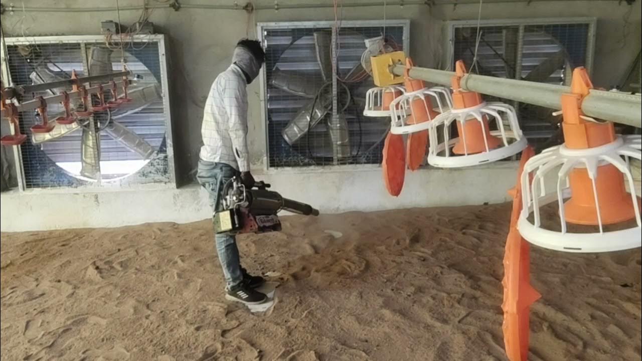 Fogging on Poultry Farm YouTube