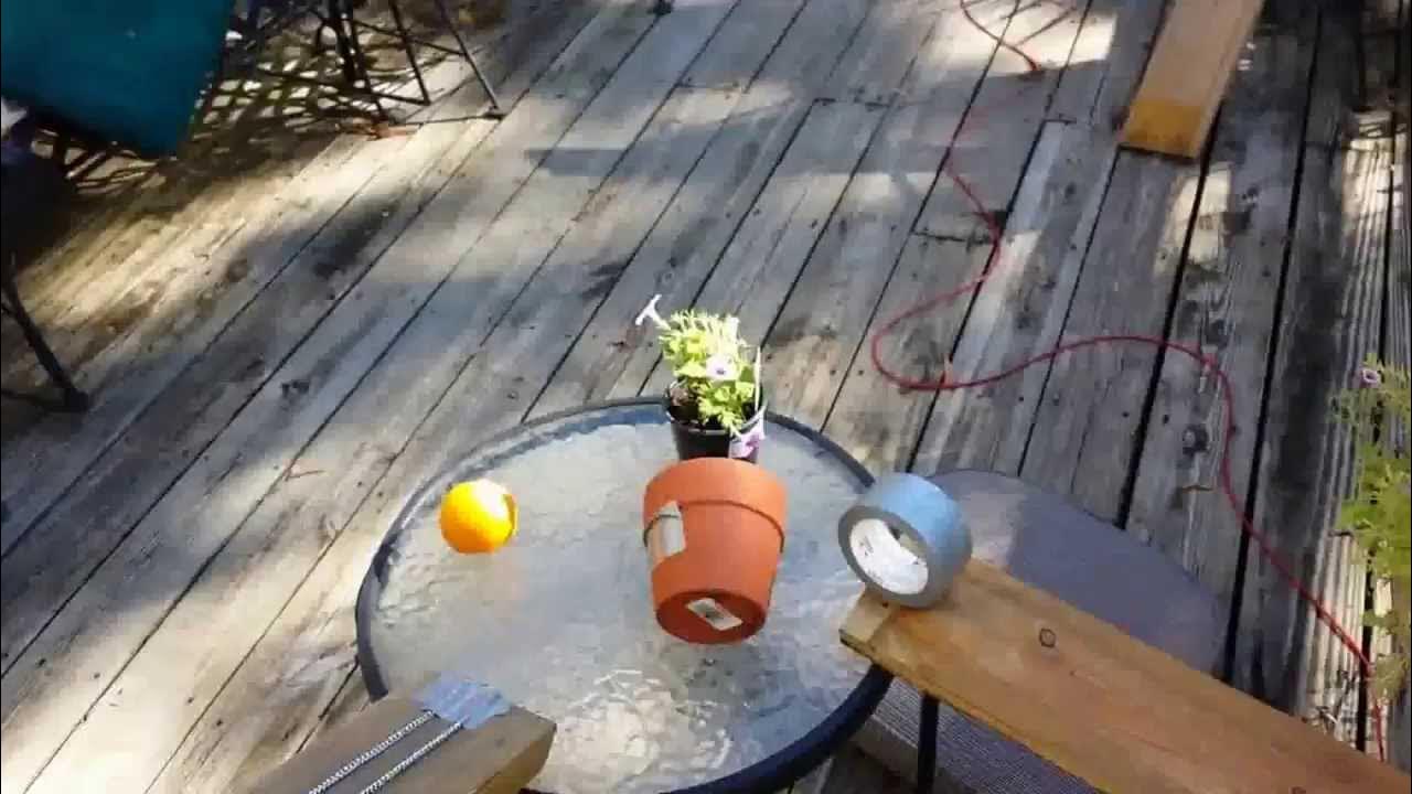 Mousetrap puts out a candle YouTube