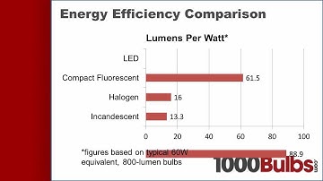 Energy-Saving Light Bulbs Compared