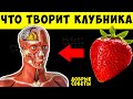 Вот что творит КЛУБНИКА с телом! 99% употребляющих НЕ ЗНАЮТ об этом!