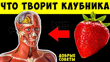 Вот что творит КЛУБНИКА с телом! 99% употребляющих НЕ ЗНАЮТ об этом!