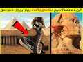    pyramid  unsolved mysteries of the great pyramid