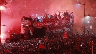 Benfica Campeão Nacional 2013/2014