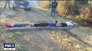 Zolfo Springs cousins wrangle 300-pound, 16-foot Burmese python on family property