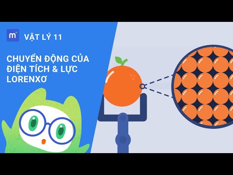 Video Chuyển động của điện tích trong từ trường đều - Lực... - youtube