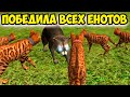 😻Симулятор КОТА и КОШКИ🐾 ПОБЕДИЛА всех ЕНОТОВ в СИМЕ cat sim