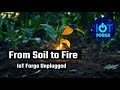 Packet Transport, Fire Bots, LoRa Farms & Smarter Homes: Edge IoT in Action | Podcast@IoTForge