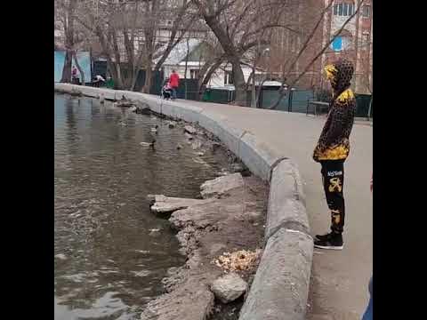 Горпарк Саратов - YouTube
