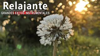 Instrumental Guitarra Romantica Boleros - Grandes Éxitos Instrumentales De Todos Los Tiempos