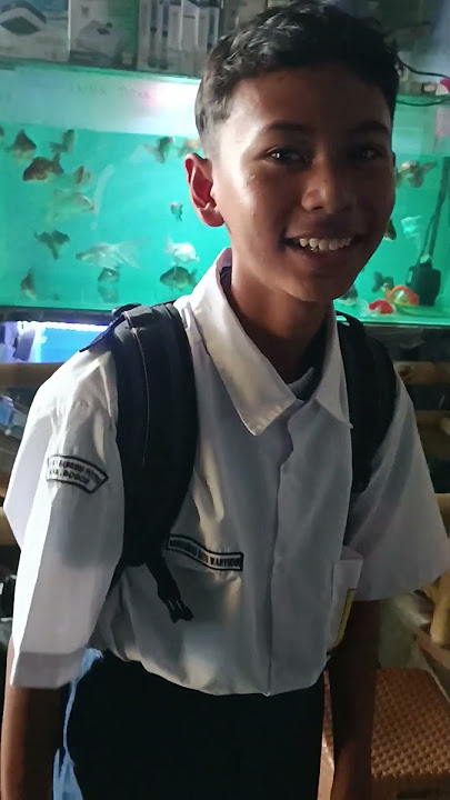 Detik-detik bocil SMP kepergok! #ikan #ikanhias #aquarium #akuarium