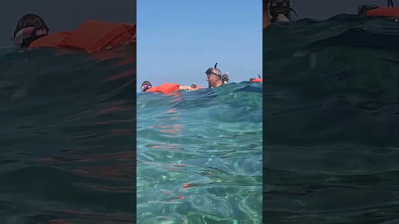 Would You Do This Belize Excursion