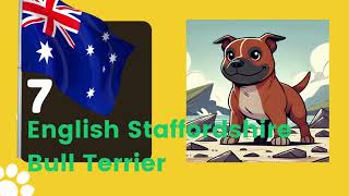 Top 10 Most Popular Dog Breeds in Australia 2024 🐶 | Find Your Perfect Pet!