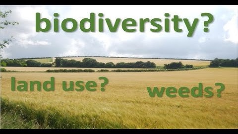 Michael Glaser: Past, present and future (?) weeds