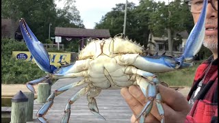 Crabbing at Pine Beach, New Jersey