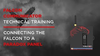 Connecting the Falcon to a Paradox Alarm Panel