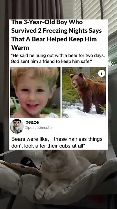 The bear actually protected him
